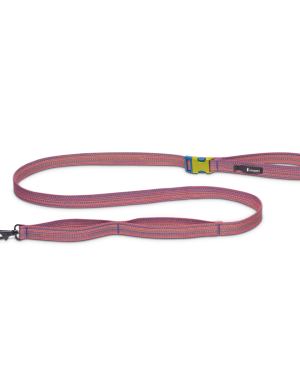 Del Día Dog Leash